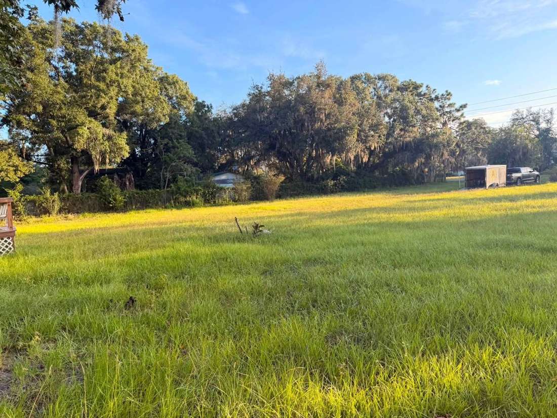 Before: wide field of tall grass